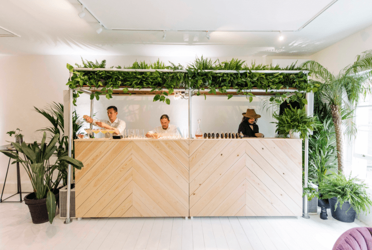 Juno Hire | Hush Digital | Web Design Darlington