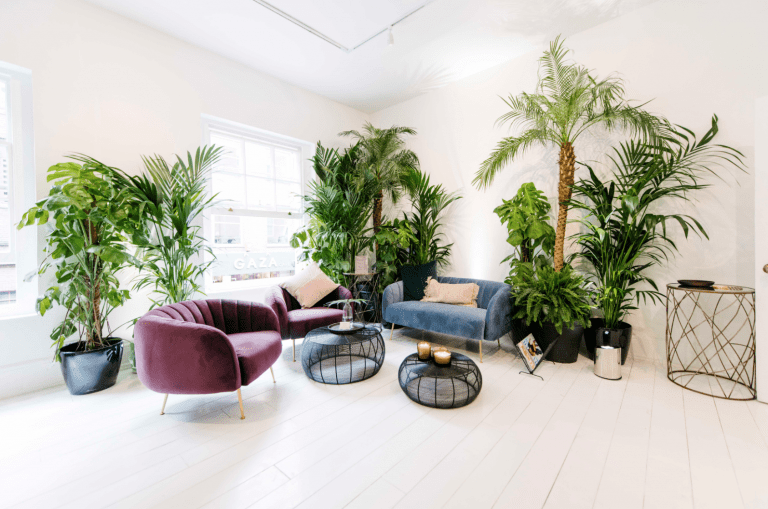Juno Hire | Hush Digital | Web Design Darlington